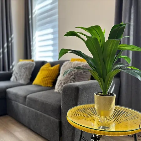 Le Cosy D'outremeuse - Pour 2 Ou 4 Personnes Apartmán