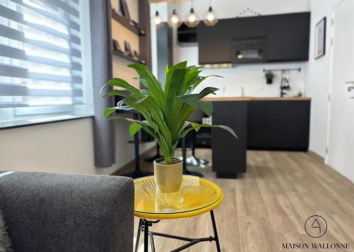 Apartmán Le Cosy D'outremeuse - Pour 2 Ou 4 Personnes Lutych